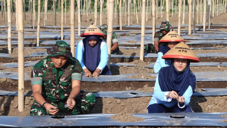 Denhanud 476 Korpasgat Tanam Bibit Gambas Dukung Ketahanan Pangan Nasional