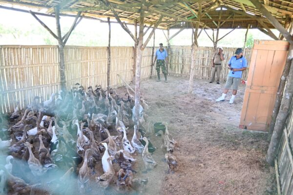 Lanud Haluoleo Terima 200 Ekor Bebek Petelur dari Pemkab Konawe untuk Dukung Ketahanan Pangan