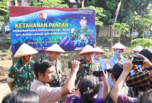 WhatsApp Image 2025-10-17 at 7.01.23 PM