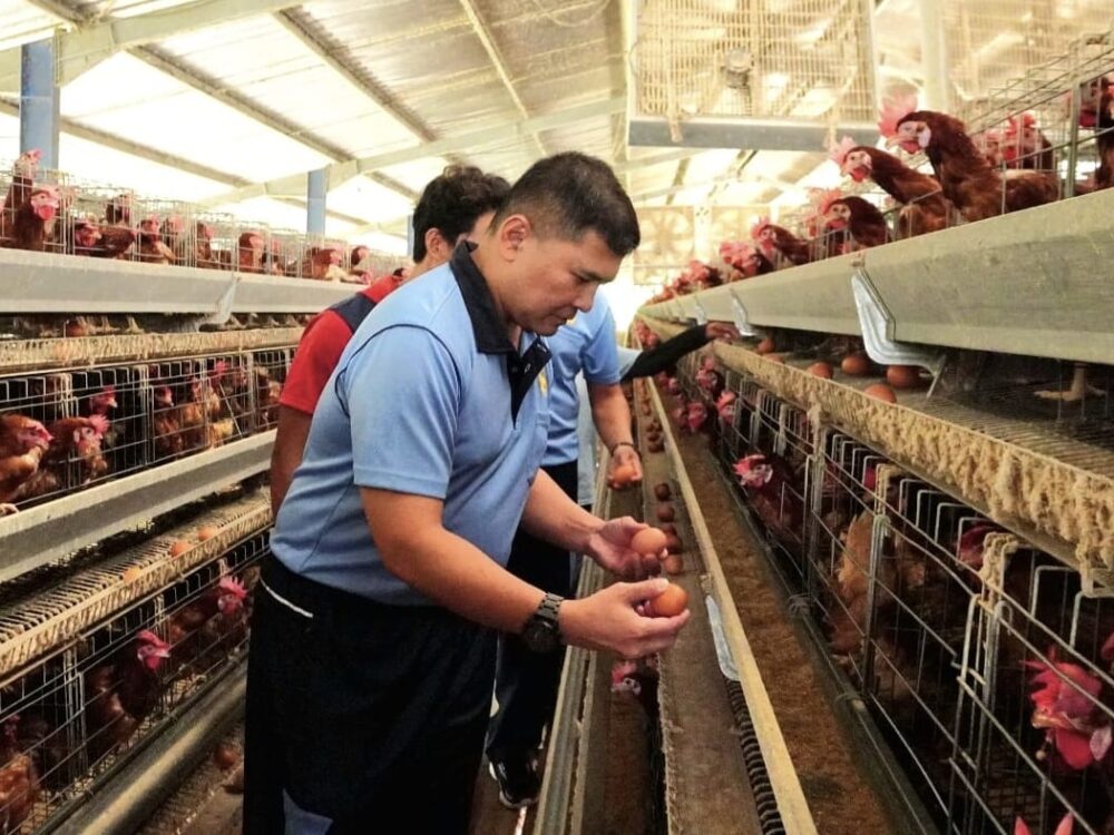 Pastikan Program Ketahanan Pangan Berjalan Optimal, Danlanud Anang Busra Tinjau Peternakan Ayam Petelur