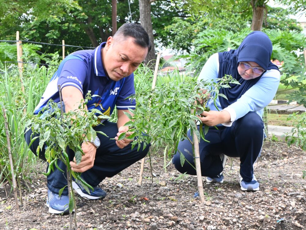 Dukung Ketahanan Pangan, Wingdik 700/Hanud Panen Sayuran