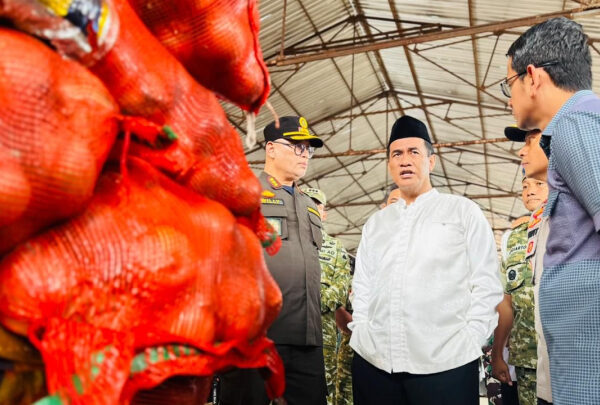 Mentan Amran Sidak 133,5 ton Bawang Bombay Selundupan Berpenyakit: “Tidak Ada Ampun, Usut Sampai Akar”