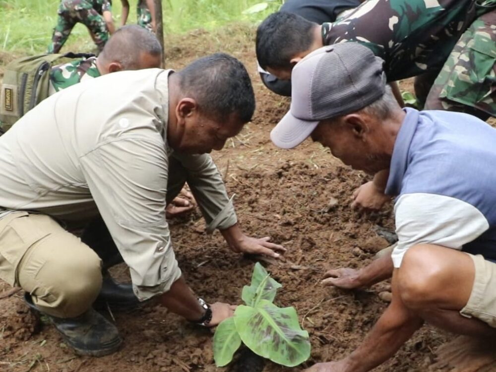 Lanud Atang Sendjaja Kembangkan Demplot Pisang Unggulan Dukung Ketahanan Pangan