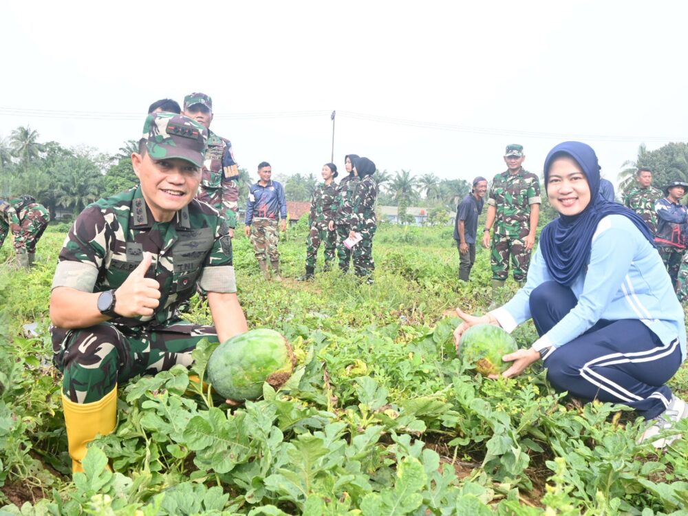 Lanud SMH Panen 40 Ton Semangka di Lahan Ketahanan Pangan Seluas 5 Hektar