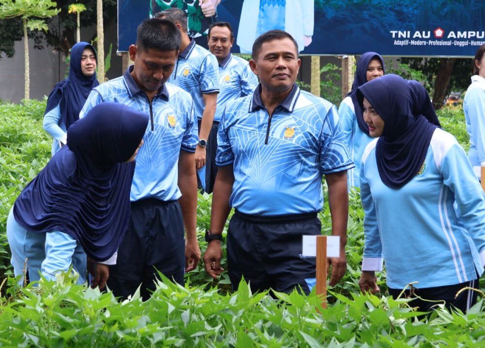 Panen 250 Kg Ubi Jalar Putih Danwingdik 400/ Matukjur Dukung Program Ketahanan Pangan TNI AU