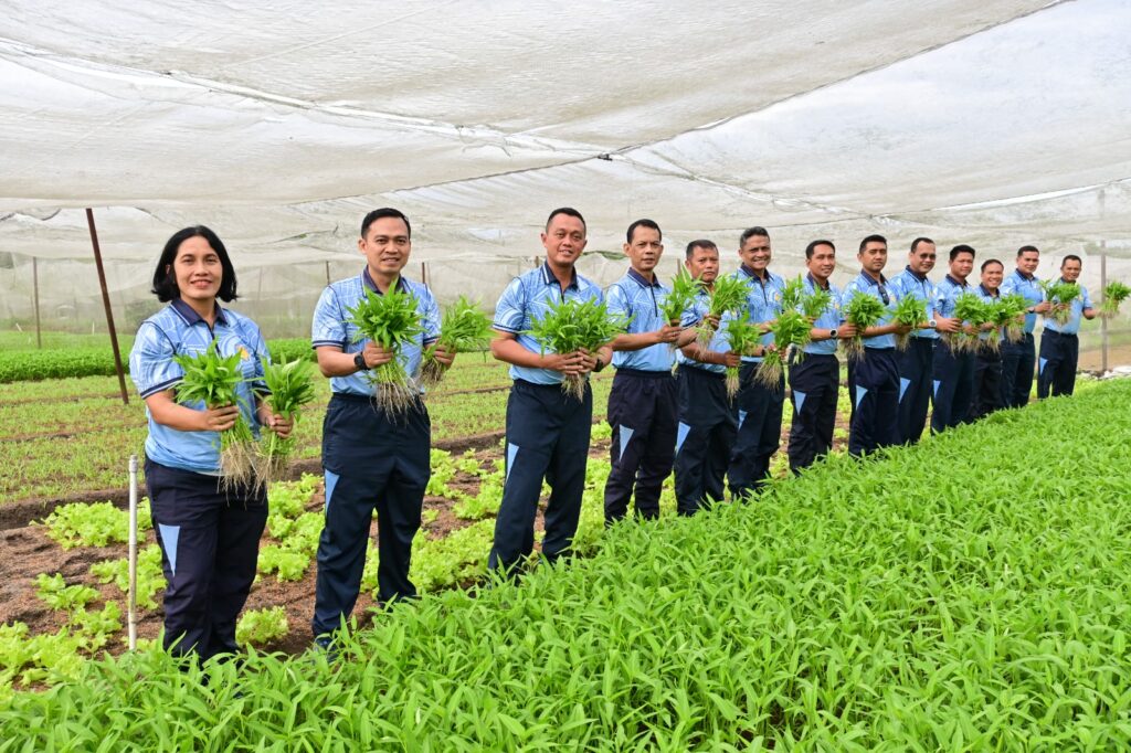 Dukung Ketahanan Pangan Nasional, Lanud RSN Panen Raya Sayuran di Kebun Mustang