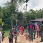 Perkuat Kemanunggalan di Ufuk Timur, Satgas Yonif 763/SBA Bahu-Membahu Bangun Hunian Warga Bori