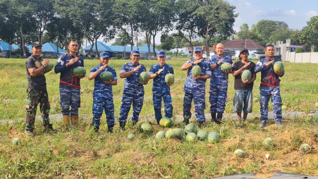 Dukung Ketahanan Pangan, Lanud SMH Panen 15 Ton Semangka Unggulan