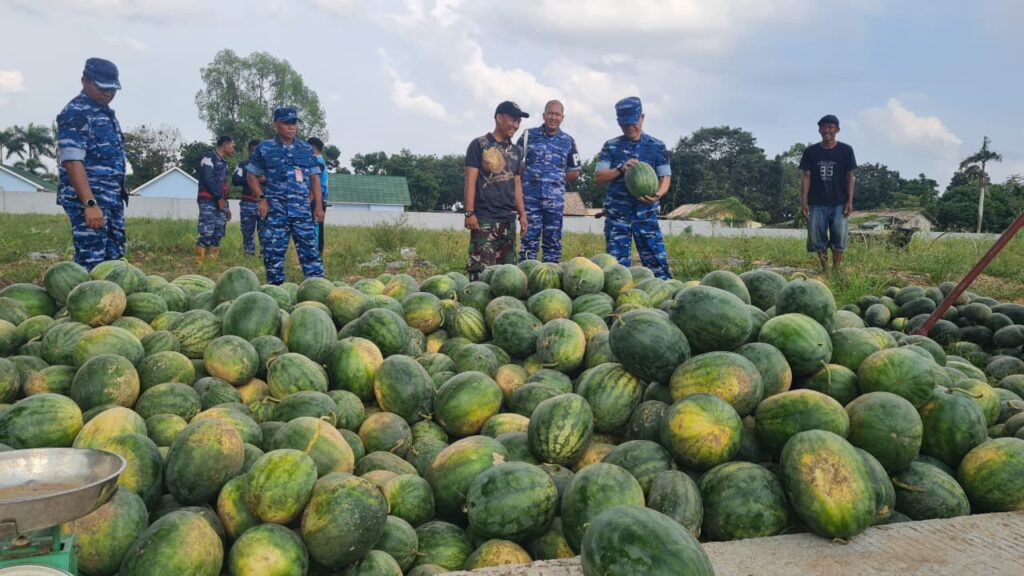 Dukung Ketahanan Pangan, Lanud SMH Panen 15 Ton Semangka Unggulan
