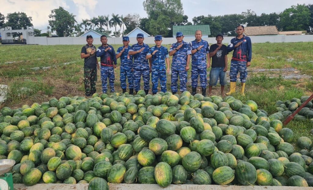 Dukung Ketahanan Pangan, Lanud SMH Panen 15 Ton Semangka Unggulan