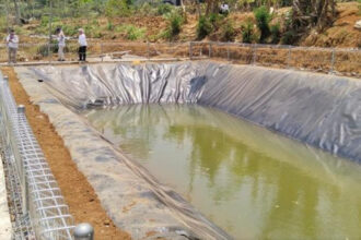 Hadapi Musim Kemarau, Kementan Perkuat Mitigasi Kekeringan di Sektor Perkebunan