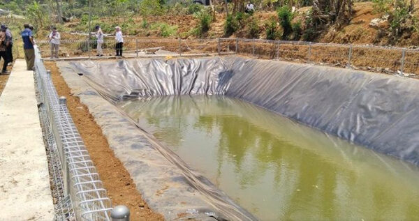 Hadapi Musim Kemarau, Kementan Perkuat Mitigasi Kekeringan di Sektor Perkebunan