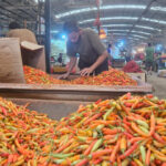 Stok Pangan Terjaga dan Harga Stabil, Lebaran 1447 H Jadi Momentum Kebahagiaan Bersama Stok Pangan Terjaga dan Harga Stabil, Lebaran 1447 H Jadi Momentum Kebahagiaan Bersama