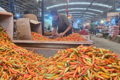 Stok Pangan Terjaga dan Harga Stabil, Lebaran 1447 H Jadi Momentum Kebahagiaan Bersama