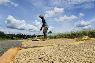 Ancaman Kelaparan Global Meningkat, Indonesia Justru Catat Surplus Beras, Mentan Ungkap Ancaman Kelaparan Global Meningkat, Indonesia Justru Catat Surplus Beras, Mentan Ungkap
