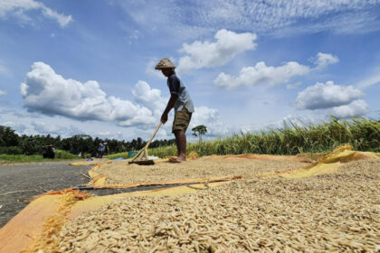Ancaman Kelaparan Global Meningkat, Indonesia Justru Catat Surplus Beras, Mentan Ungkap Ancaman Kelaparan Global Meningkat, Indonesia Justru Catat Surplus Beras, Mentan Ungkap