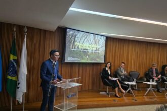 Indonesia Perkuat Perlindungan Anak dalam KTT Global di Rio de Janeiro