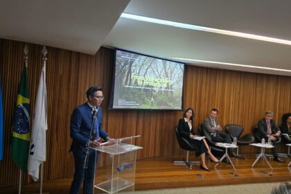 Indonesia Perkuat Perlindungan Anak dalam KTT Global di Rio de Janeiro