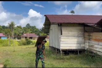 Pos Bori Bantu Warga Bangun Rumah, Wujud Kepedulian TNI di Papua Barat Pos Bori Bantu Warga Bangun Rumah, Wujud Kepedulian TNI di Papua Barat