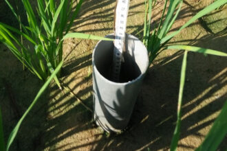 Hemat Air hingga 20%, Kementan Dorong Pengelolaan Air Sawah Hadapi Kemarau