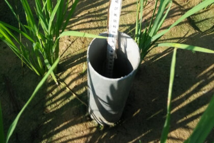 Hemat Air hingga 20%, Kementan Dorong Pengelolaan Air Sawah Hadapi Kemarau