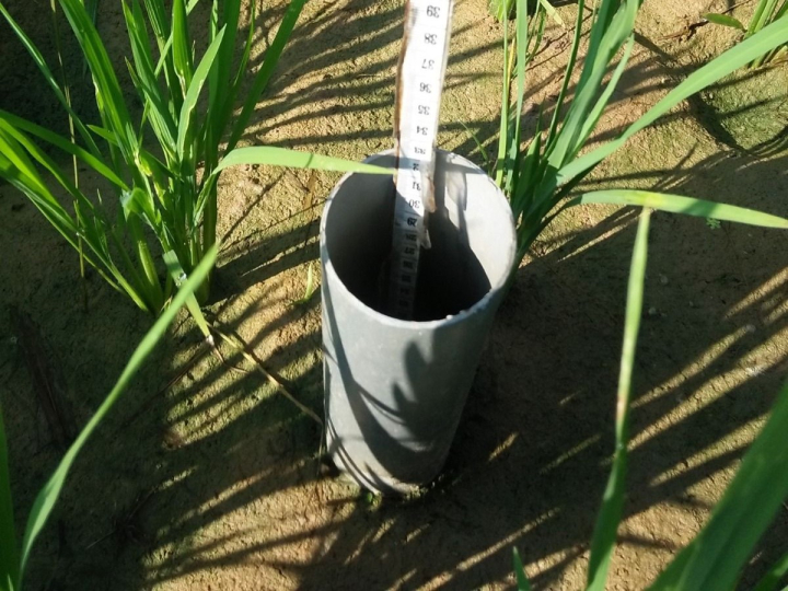 Hemat Air hingga 20%, Kementan Dorong Pengelolaan Air Sawah Hadapi Kemarau Hemat Air hingga 20%, Kementan Dorong Pengelolaan Air Sawah Hadapi Kemarau