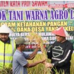 Panen Raya Padi Meluas, Stok Pangan Nasional Dipastikan Aman oleh Kementan