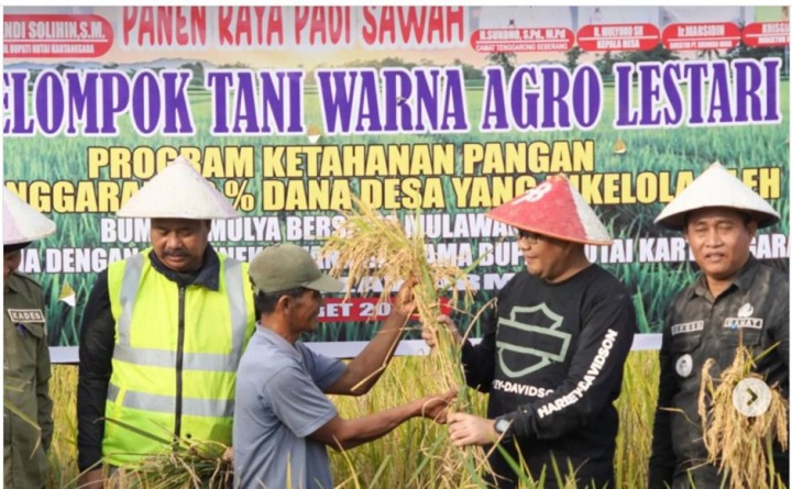Panen Raya Padi Meluas, Stok Pangan Nasional Dipastikan Aman oleh Kementan