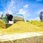 Rekor Baru! Stok Beras Nasional Tembus 4,3 Juta Ton, Tertinggi Sepanjang Sejarah Rekor Baru! Stok Beras Nasional Tembus 4,3 Juta Ton, Tertinggi Sepanjang Sejarah