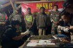 Satgas Yonif 403/WP Gagalkan Penyelundupan 2 Kg Ganja di Perbatasan RI–PNG Satgas Yonif 403/WP Gagalkan Penyelundupan 2 Kg Ganja di Perbatasan RI–PNG