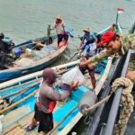 HUT Ke-64 Kopaska TNI AL Diperingati dengan Baksos dan Donor Darah Massal