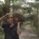 Ekspor CPO Menguat, Nilai Tembus US$4,69 Miliar pada Awal 2026