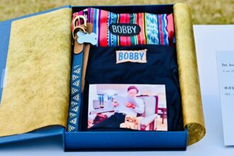 Diplomasi “Anabul” Presiden Prabowo di Republik Korea, Kejutan Hangat Curi Perhatian Presiden Lee