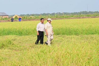 Kesiapan Hadapi El Nino Ditegaskan, Mentan Sebut Stok Beras Tertinggi Sepanjang Sejarah
