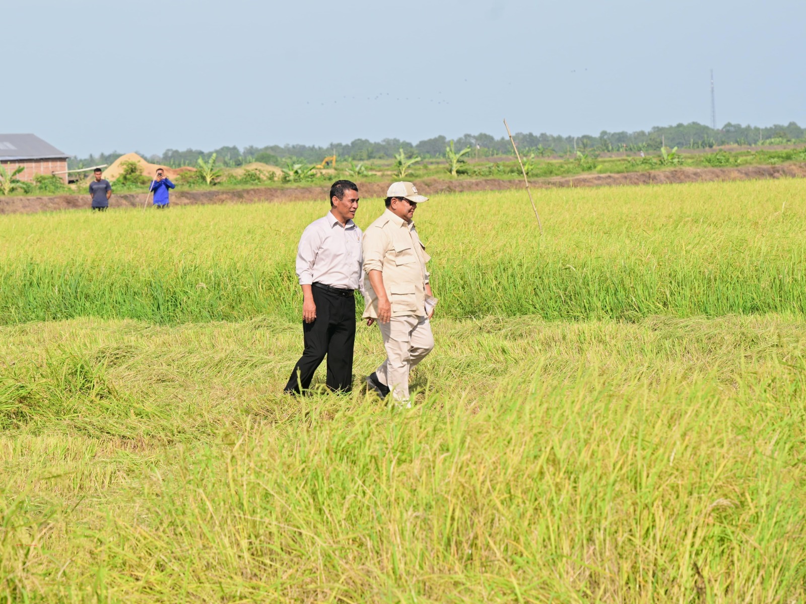 Kesiapan Hadapi El Nino Ditegaskan, Mentan Sebut Stok Beras Tertinggi Sepanjang Sejarah Kesiapan Hadapi El Nino Ditegaskan, Mentan Sebut Stok Beras Tertinggi Sepanjang Sejarah