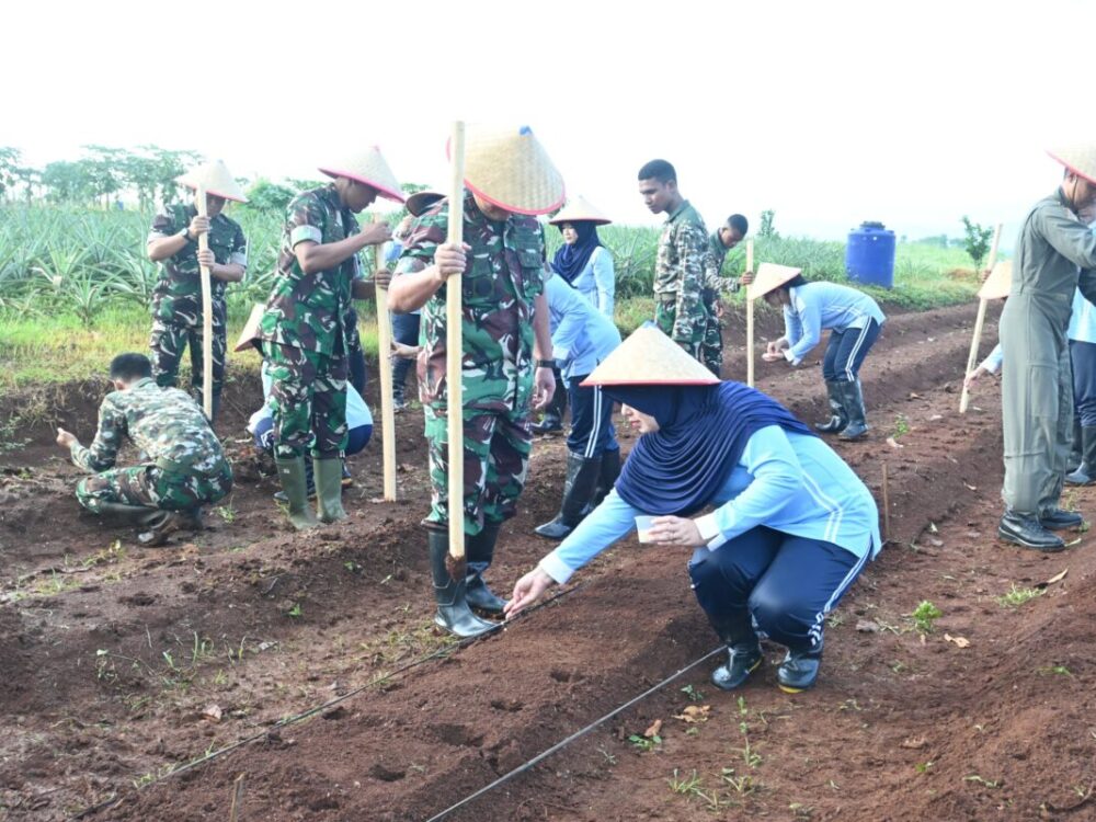 Lanud Suryadi Suryadarma Panen Hortikultura, Perkuat Ketahanan Pangan Nasional