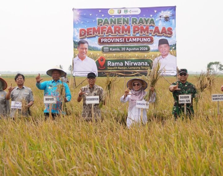 PM-AAS Lampung Tengah, Produktivitas Padi Tembus “11,2 Ton/Ha”