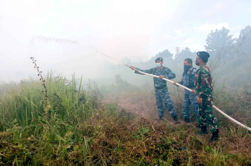 Lanud Sjamsudin Noor Tangani Karhutla di Kalimantan Selatan