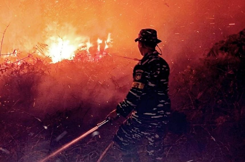 TNI AL Padamkan Karhutla di Jambi, 4 Hektar Lahan Terbakar
