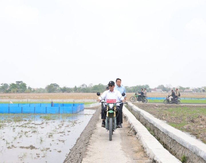 Mentan Amran Sidak Sawah Karawang, Targetkan 3 Kali Tanam