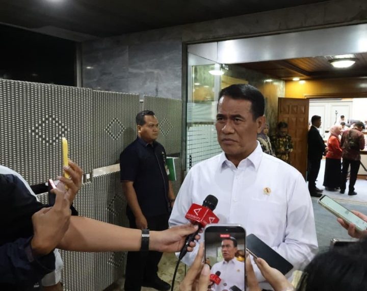 Anggaran Kementan Rp28,02 Triliun pada 2027, Bawang Putih Jadi Fokus