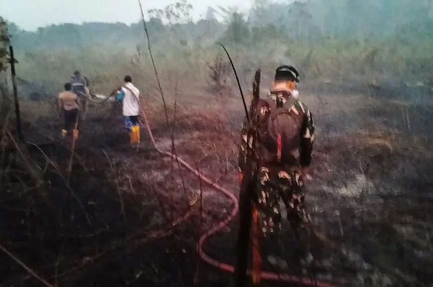 TNI Kerahkan Helikopter Caracal untuk Water Bombing Dekat IKN