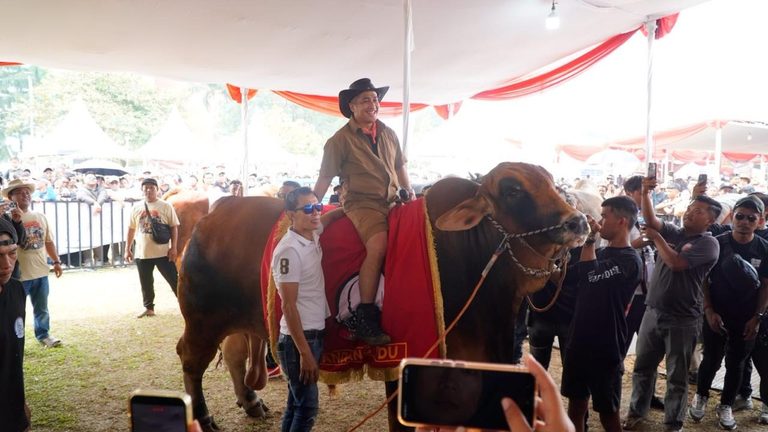 Kementan Perkuat Genetik Ternak, Kontes Sapi APPSI Dorong Lompatan Produksi Daging