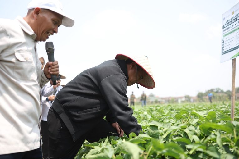 Mentan Amran Targetkan 5.000 Hektare Kedelai di Grobogan, Produktivitas di Atas 3 Ton