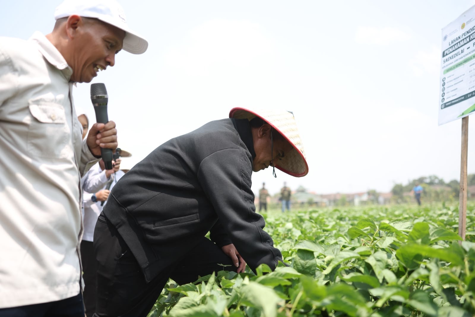 Mentan Amran Targetkan 5.000 Hektare Kedelai di Grobogan, Produktivitas di Atas 3 Ton